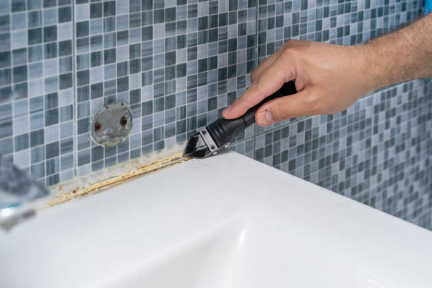 Trusted Tontitown, AR Mold Remediation Experts