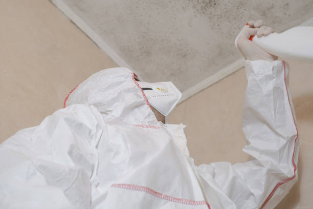 Trusted Tontitown, AR Mold Remediation Experts